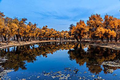 《JOJO奇妙冒险：群星之战R》二代目JOJO预告